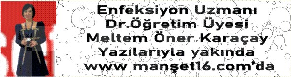 Dr. Öğr. Üyesi Meltem Öner KARAÇAY Yazılarıyla Manşet16.com'da