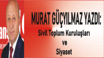 SİVİL TOPLUM KURULUŞLARI VE SİYASET