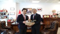 Gemlik ve Japonya Arasında İşbirliği Atılımı