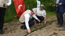 Dağ köyleri ahududu yetiştiriciliğinde öne çıkacak