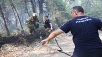 Büyükşehir'den Gündoğdu yangını seferberliği