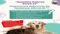 İnegöl Belediyesi’nden Evinde Kedi-Köpek Besleyenlere Mikroçip Uyarısı