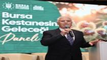 Bursa kestanesine Büyükşehir’den destek